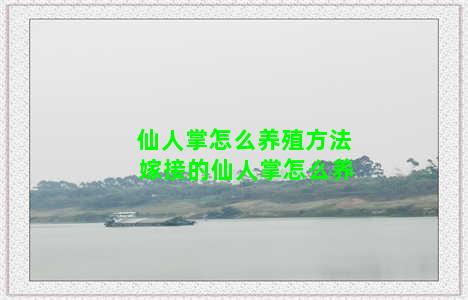 仙人掌怎么养殖方法 嫁接的仙人掌怎么养